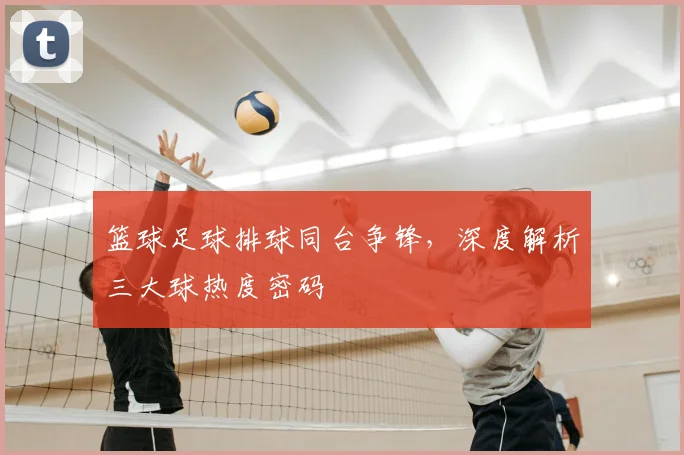 篮球足球排球同台争锋,深度解析三大球热度密码