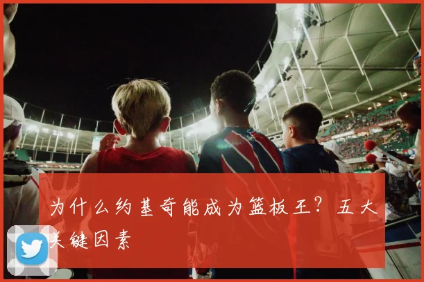 为什么约基奇能成为篮板王？五大关键因素